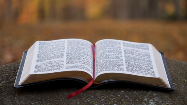 How to Make Bible Reading a Daily Habit