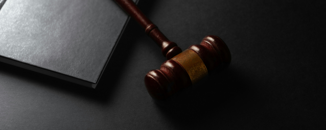 What To Do When Standing Before the Judge