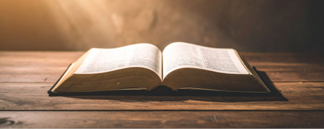 What Are the Basics of the Faith?