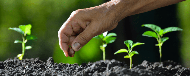 Seven Tips to Help You Plant Seeds for the Gospel