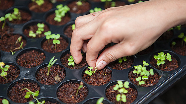 Seven Tips to Help You Plant Seeds for the Gospel